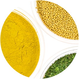 maitsetaimede tootja täidised segud praetud sibul Poola